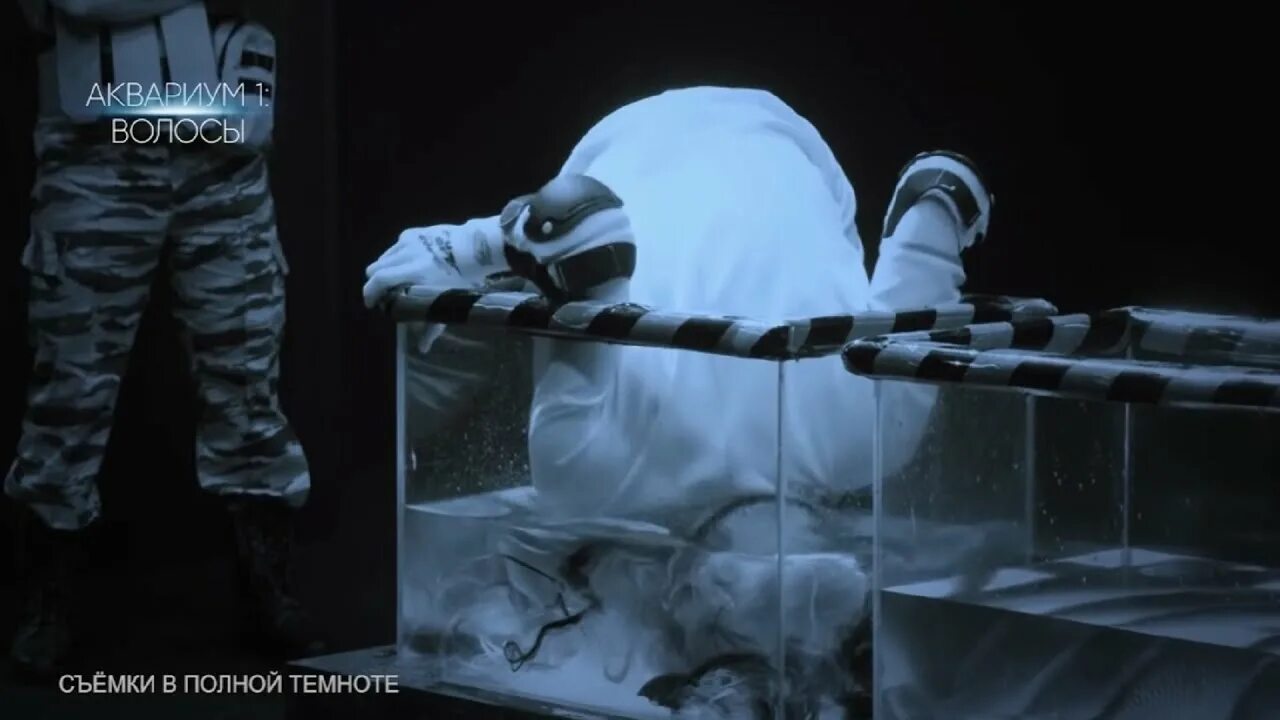 Куда падают в блэкауте игроки. Форт боярд шоу. Полный блэкаут на стс. Куда падали люди в полном блэкауте. Куда падали люди в полном блэкауте.