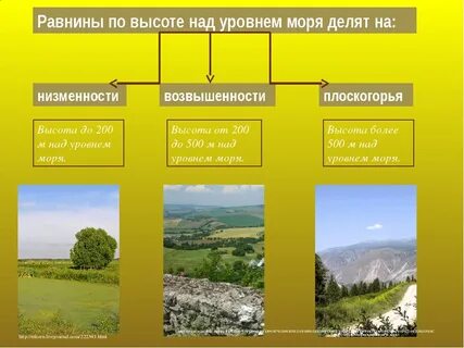 Какая абсолютная высота низменности