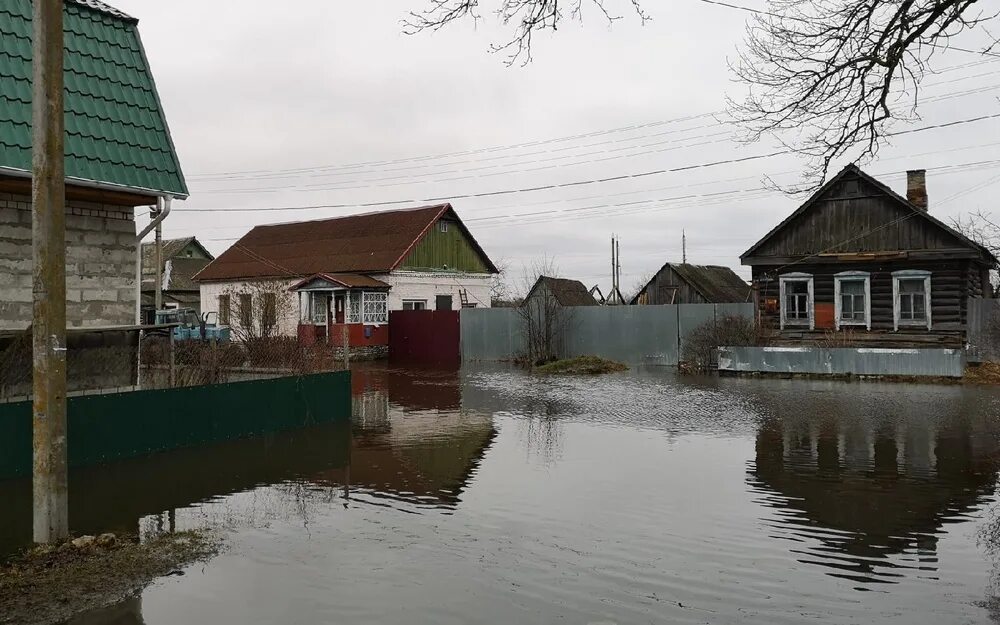 Паводок брянск. Радица-Крыловка Брянск. Радица-Крыловка Брянск река. Город Брянск посёлок Радица Крыловка. Паводок в Брянске 2022 Радица Крыловка.