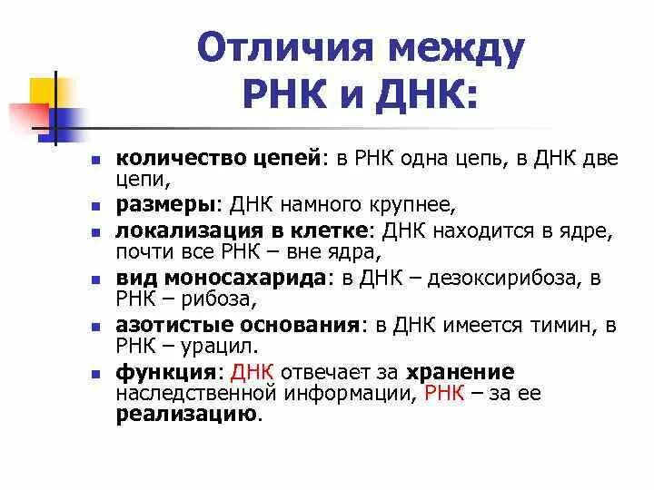 Число цепей рнк