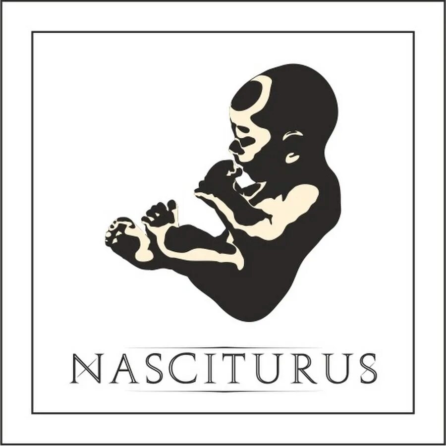 Право насцитуруса. Деликты частного права в римском праве. Насцитурус и доминус. Преторский эдикт это в римском праве. Насцитурус это.