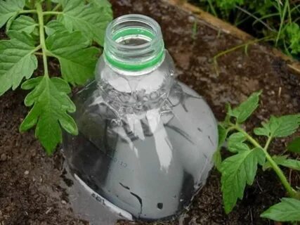 Полив из пластиковых бутылок