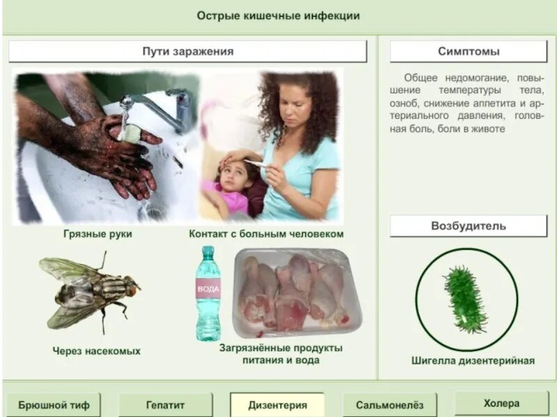 Инфекции бытовым путем. Пути передачи кишечных инфекций. пути заражения кишечными инфекциями. способы передачи кишечной инфекции. пути передачи при кишечных инфекциях.