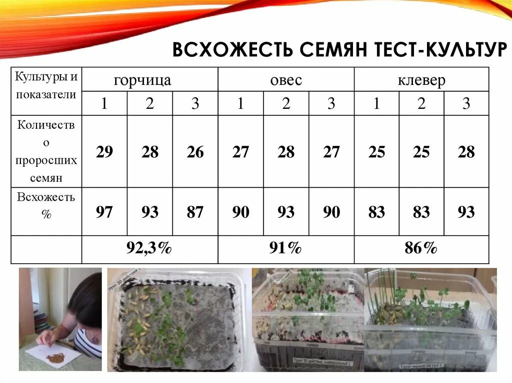 Какой срок всхожести семян