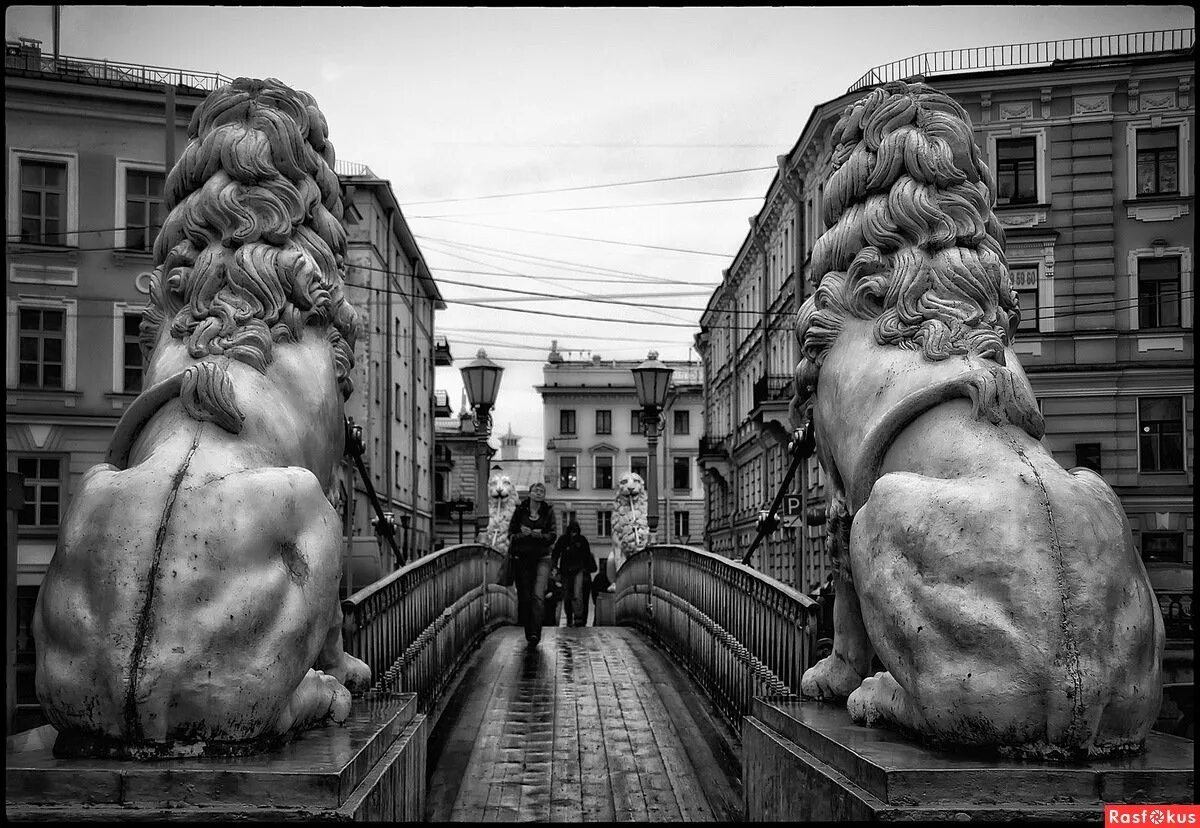 Экскурсия по крышам санкт-петербурга 2022. Типичный житель санкт-петербурга. Петербург город странных людей. Петербург город странных людей. Путешествие с семьей питер.