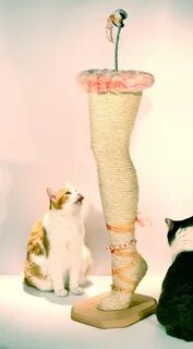 Leg cat