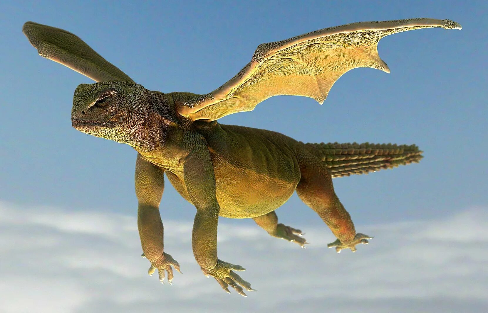 Воздушная рептилия. Летучий дракон (Draco volans). Летучая агама. Агама Летучий дракон. Драко Воланс ящерица.