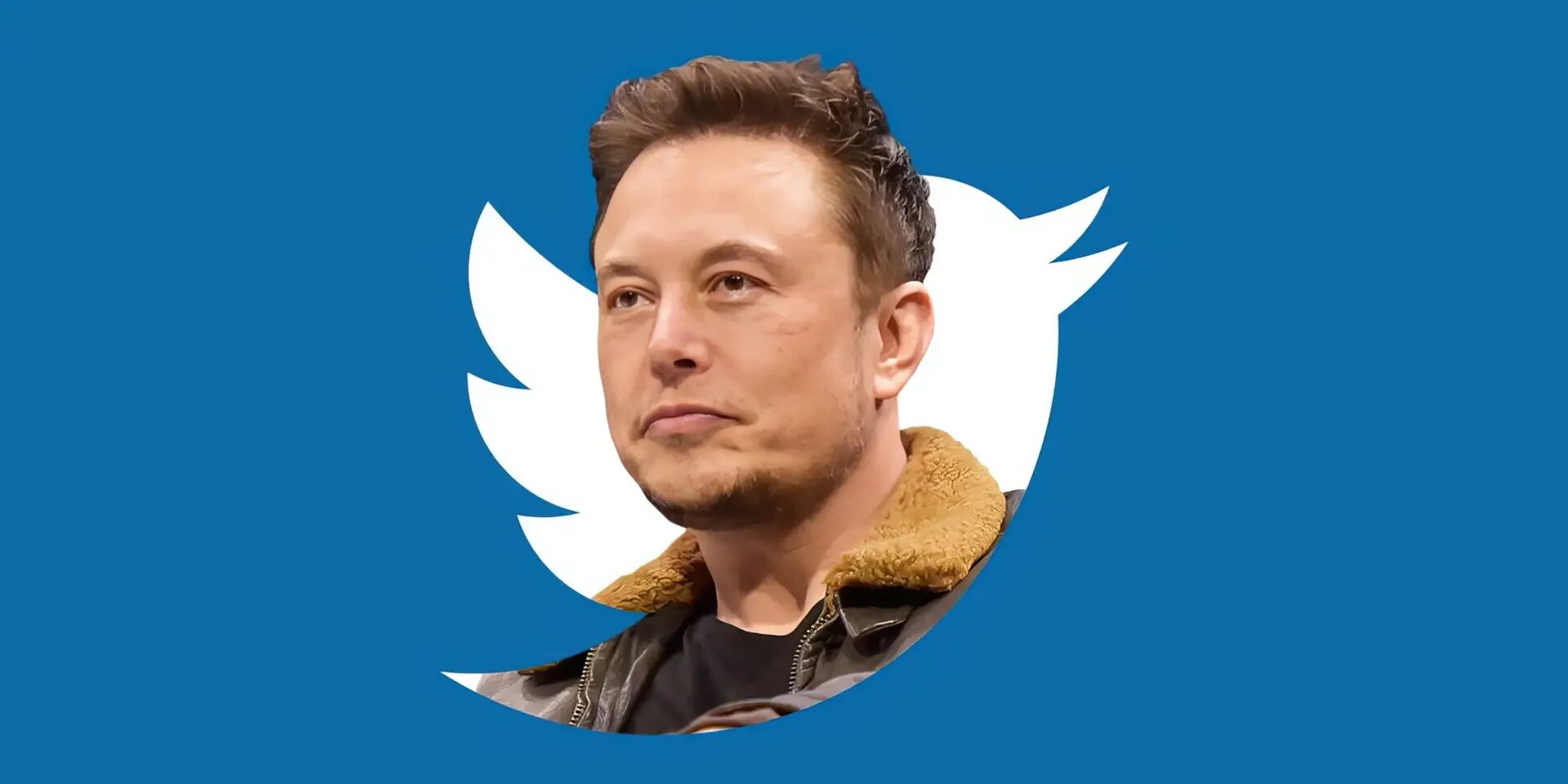 Илон Маск twitter. Elon Musk Твиттер. Твиттер Илон. Твиттер маска. Маска купил твиттер