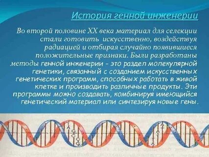 Генетик доклад