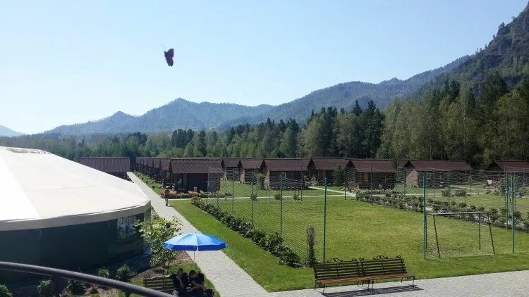 турбазы узнезя горный алтай. чемал горный алтай корогон. база корогон горный алтай. корогон горный алтай. корогон.