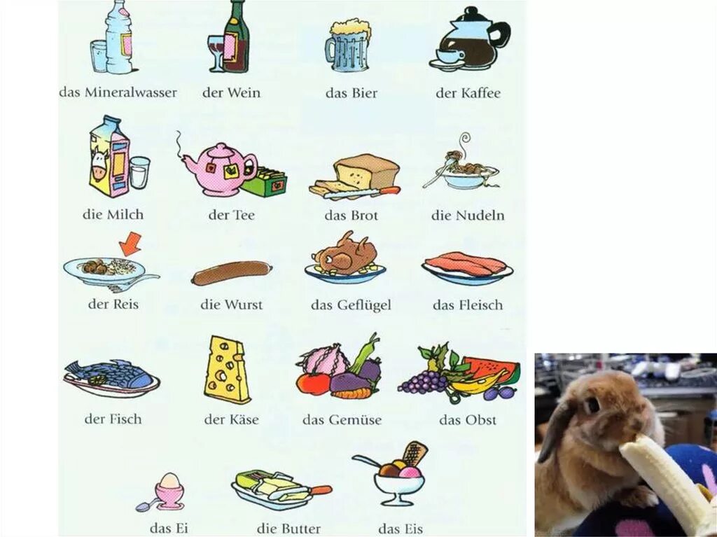 меню на немецком языке. тема еда на немецком. меню на немецком языке с переводом. тема еда по немецкому. продукты на немецком языке с переводом.