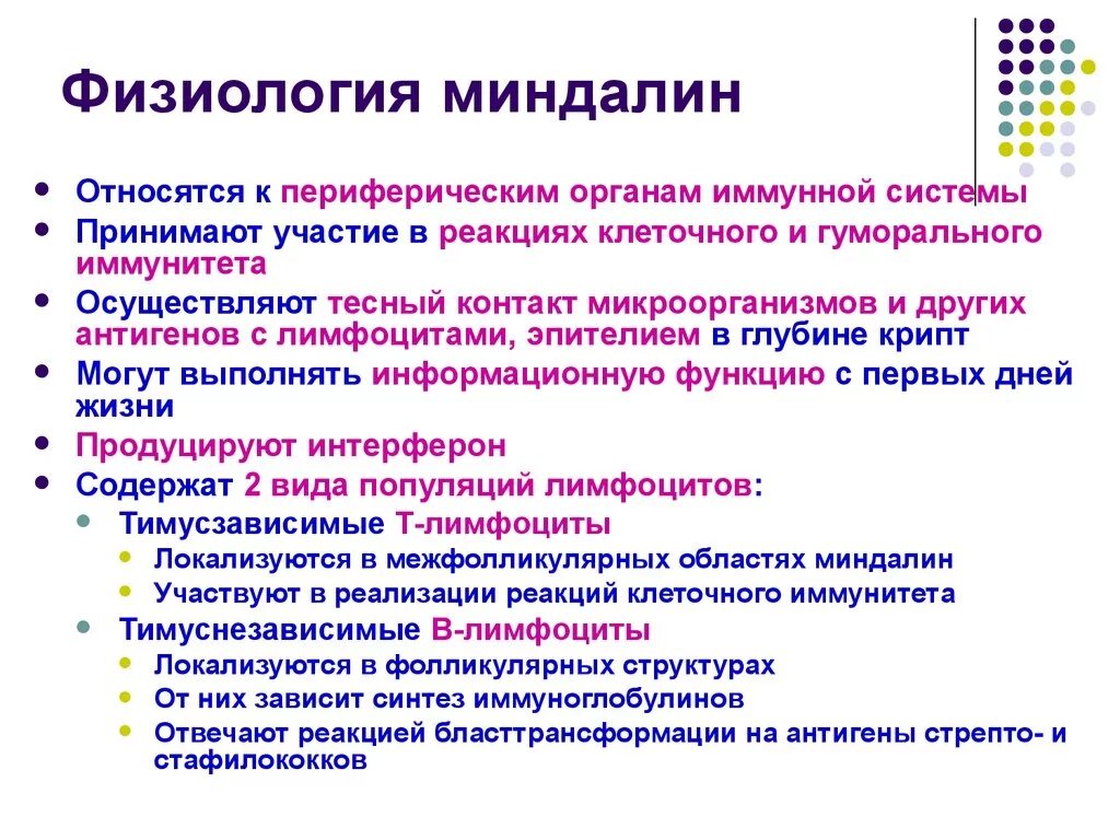 Иммунная функция миндалин. Роль миндалин в иммунном процессе.