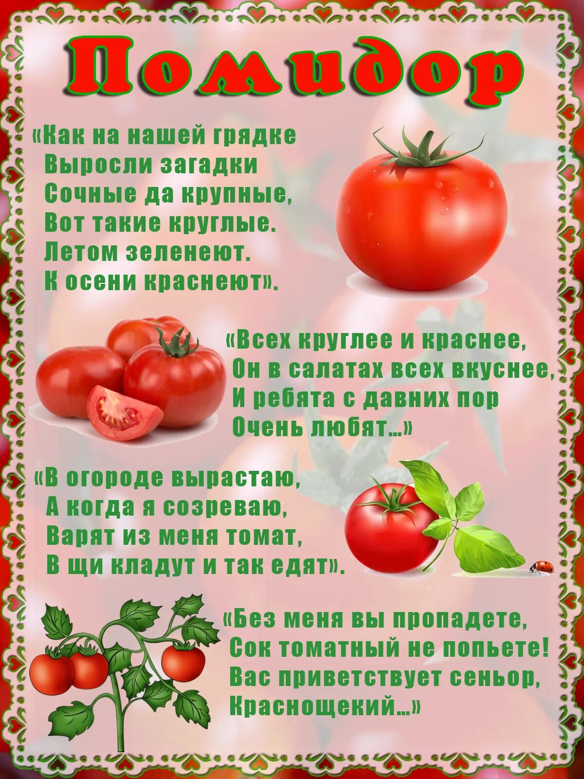 Помидор имя прилагательное подобрать. Стихи про овощи. Загадки про овощи. Загадки дл детей про овощ. Загадки про овощи для детей.