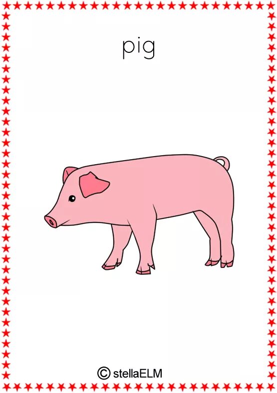 Pig word. Pig flashcard. свинья на английском. pig карточка для детей.