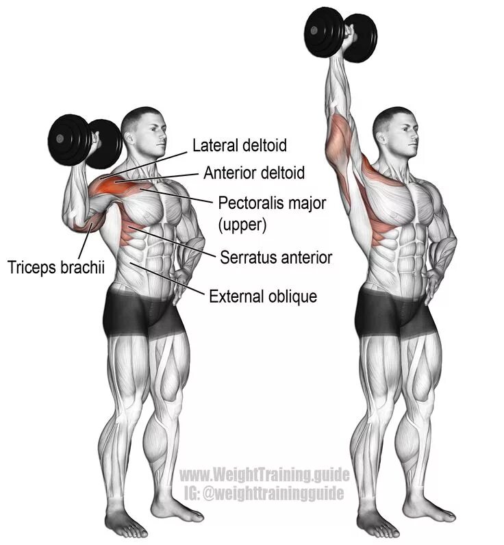 Db press