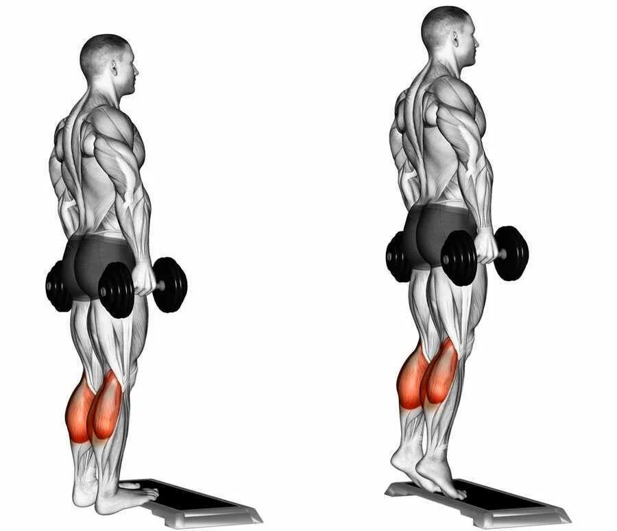 Как накачать голень. Упражнение для икроножных мышц подъем на носки. Подъем на икры стоя. Подъём икроножных мышц стоя. Упражнения на икроножные мышцы с гантелями.
