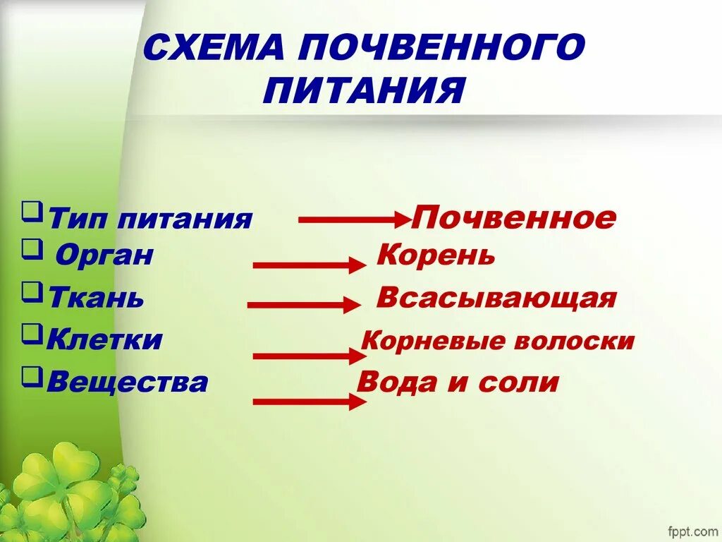 Почвенное и воздушное питание растений 6 класс. Воздушное питание растений схема. Почвенное питание растений схема. Минеральное почвенное питание растений. Тест по теме минеральное питание