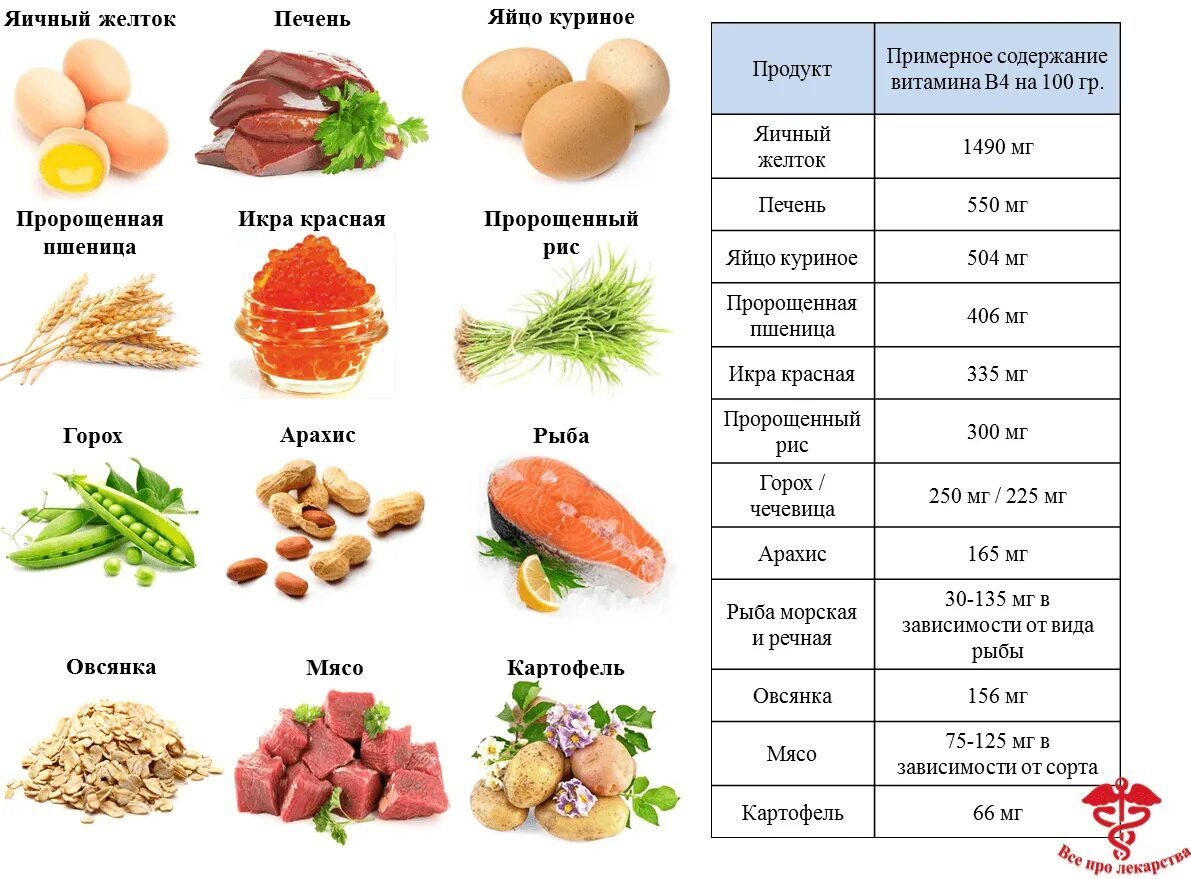 Питание богатое витаминами. Витамин в4 в каких продуктах. Витамин в4 в каких продуктах содержится больше всего таблица. Витамин в4 продукты с высоким содержанием. Продукты богатые витамином в4.