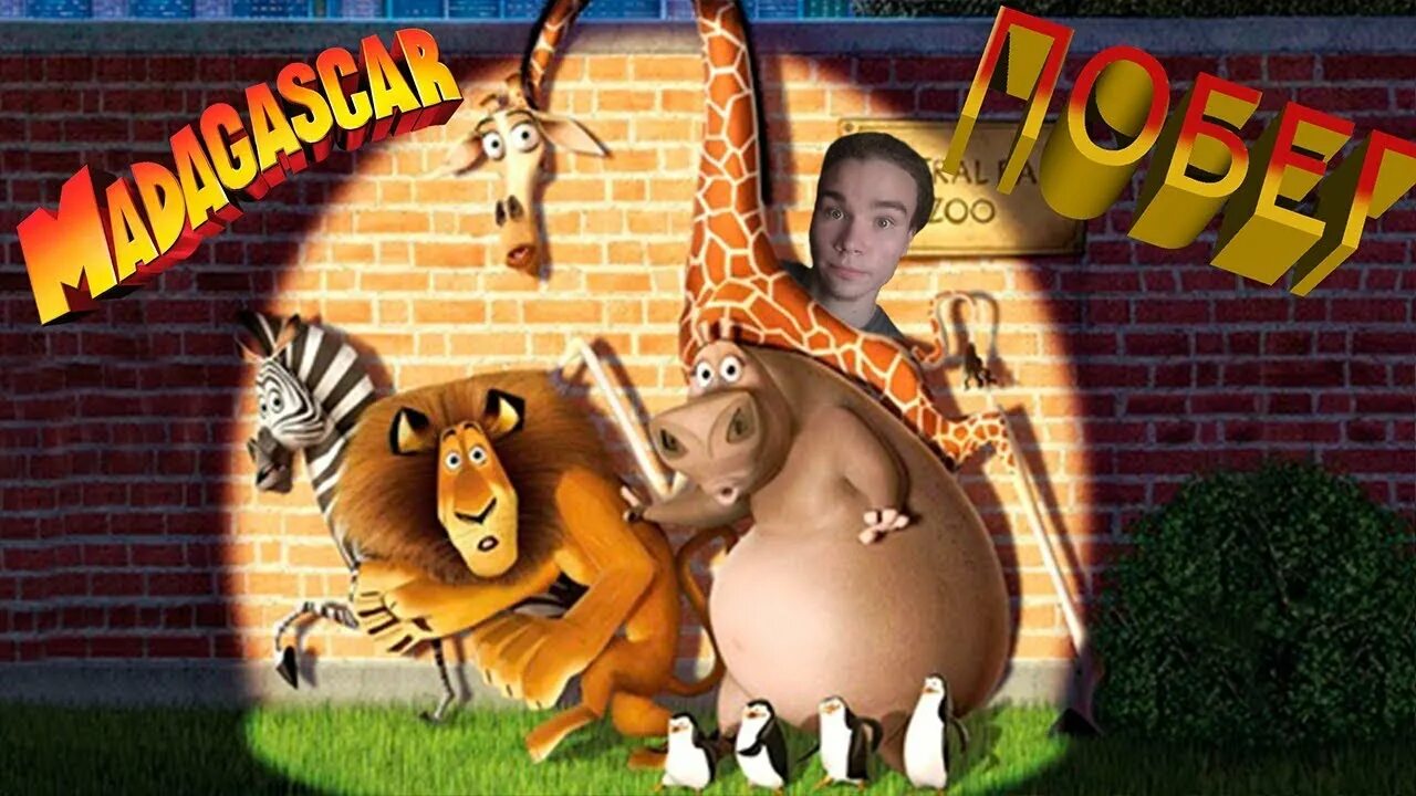 Мадагаскар побег из зоопарка. Побег из зоопарка. Побег из зоопарка. Мадагаскар 1 2005. Побег из зоопарка.