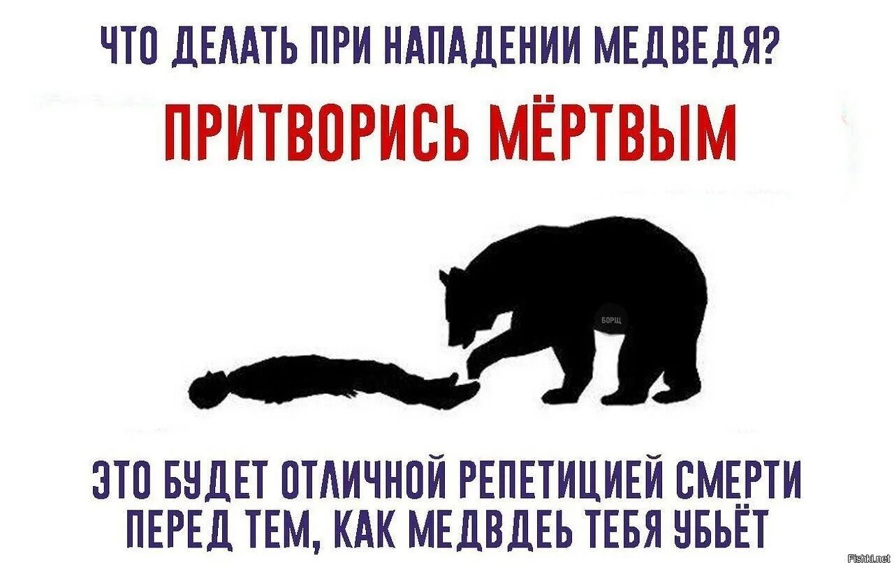Что делают при встрече
