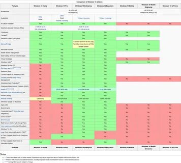 Windows consumer vs business