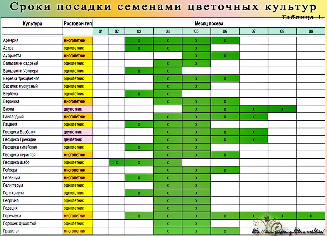 До какого числа можно использовать