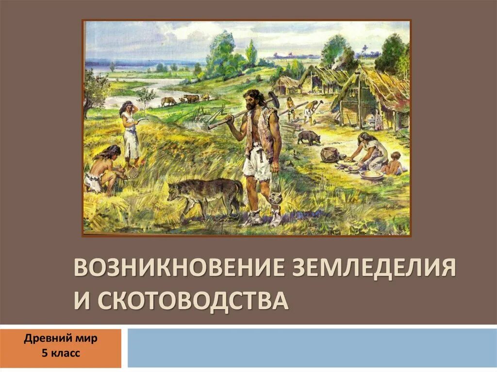 Древний мир 6 класс. Появление неравенства и знати. Возникновение земледелия и скотоводства 5 класс. Земледельцы и скотоводы 5 класс. Возникновение неравенства и знати 5 класс.