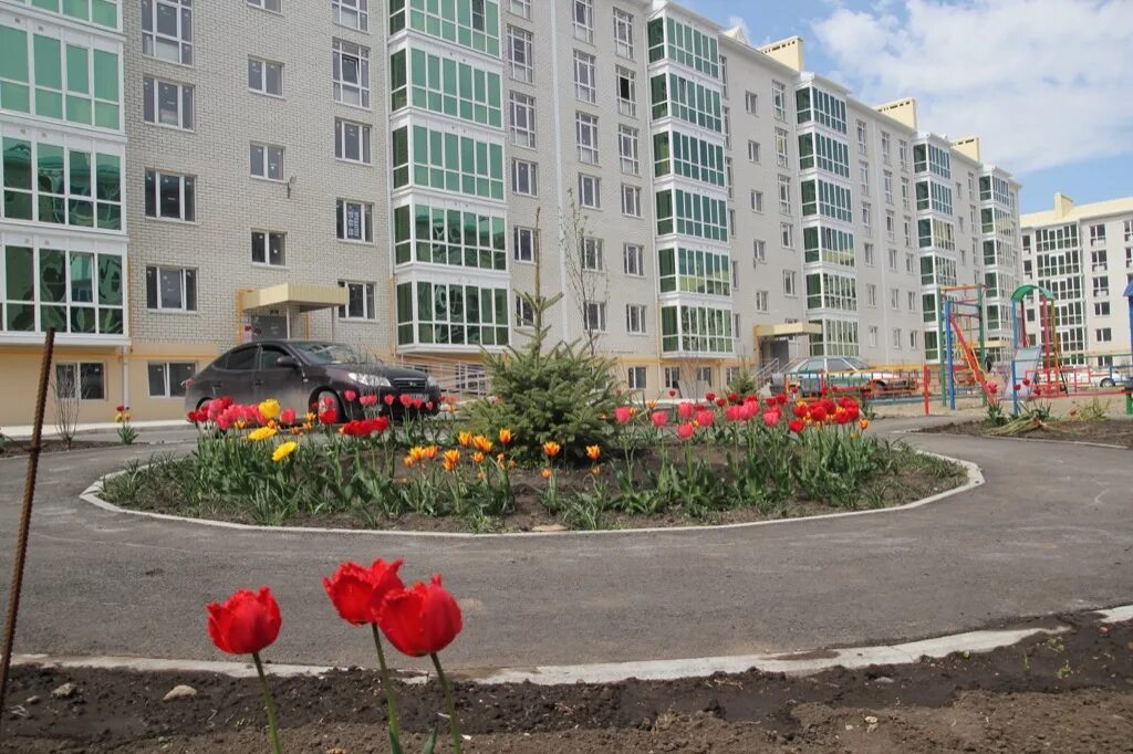 Гармония михайловск ул музыкальная. Г. Улица гармонии. Улица гармонии. Михайловск ставропольский гармония.