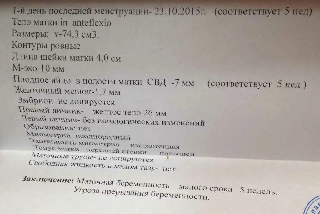 Симптомы при беременности 3-4 недели. Узи 6-7 недель беременности заключение. 3 неделя форум. Узи 5 недель плодное яйцо 7 мм. Узи на 5 акушерской неделе.