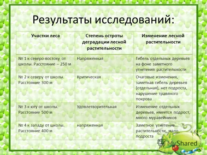 никем не исследованный участок