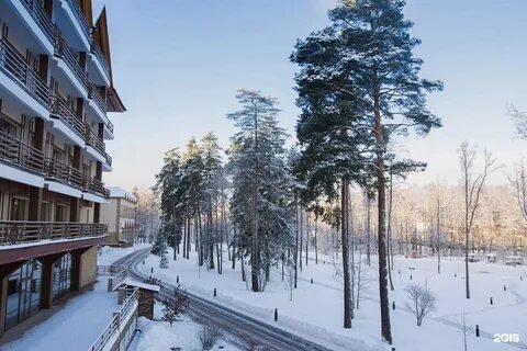 Ареал новая купавна
