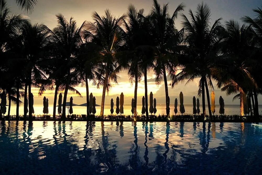Ночной рынок фукуок. Вьетнам phu quoc. Фукуок рынок морепродукты. Остров фукуок. Рынок фукуок вьетнам.