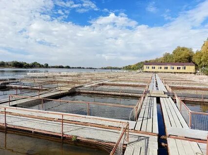 Погода на 10 дней камызяк астраханская