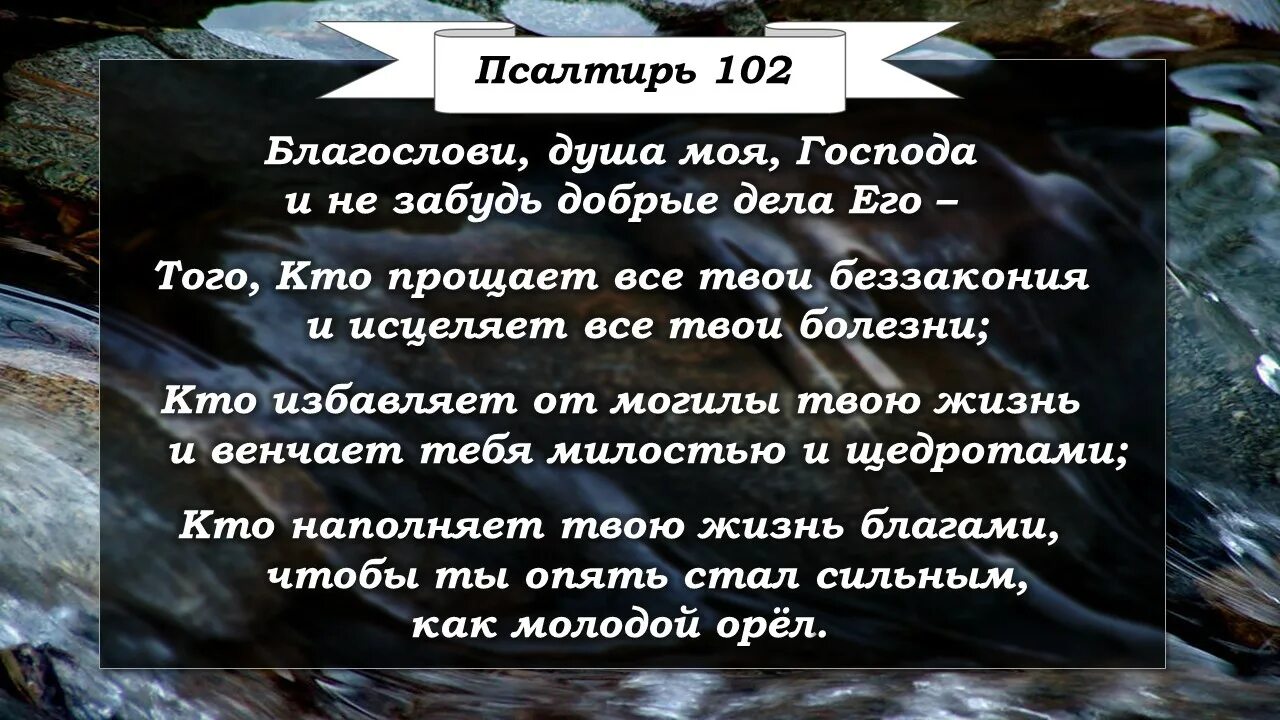 Благословляю вас на все четыре