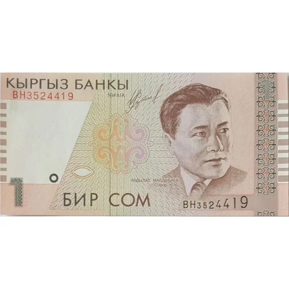 Киргизия 1 сом 1999. 1 Сом. Первые сомы в Кыргызстане. Первые квргызские деньги. Киргизский сом к суму
