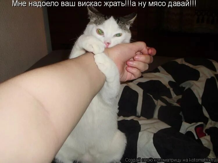 я хочу удалить от вашей группы. замужем картинки прикольные. я ухожу навсегда. как мне надоела ваша группа. как мне надоела ваша группа.