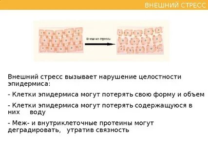 Целостность кожи