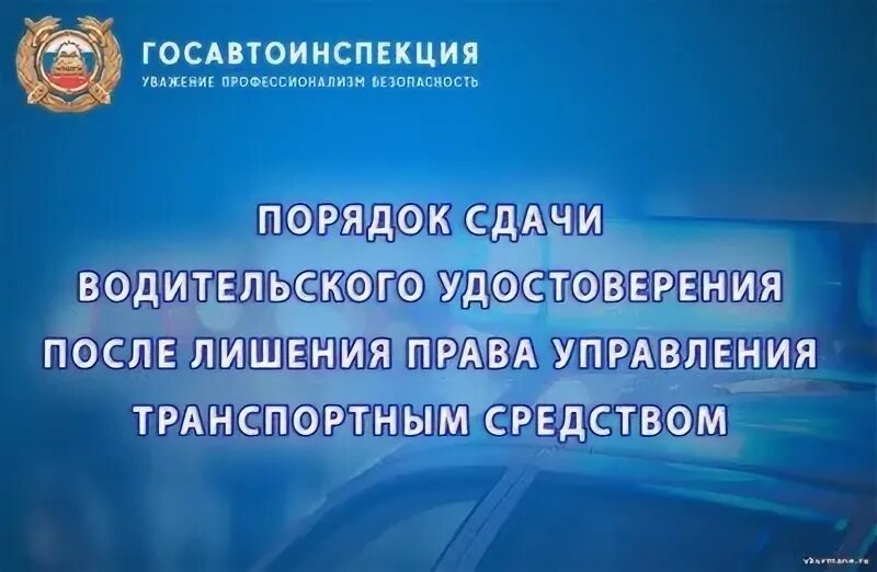 Правила пдд после лишения. За что могут лишить водительских прав в 2022.