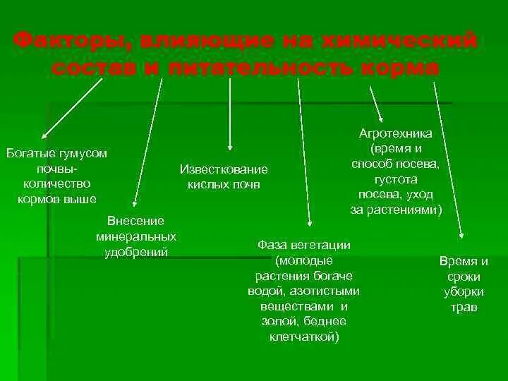 Основные группы растительных кормов. Факторы влияющие на питательность кормов. Факторы влияющие на химический состав кормов и переваримость. Факторы, влияющие на качество корма. Факторы влияющие на химический состав кормов.