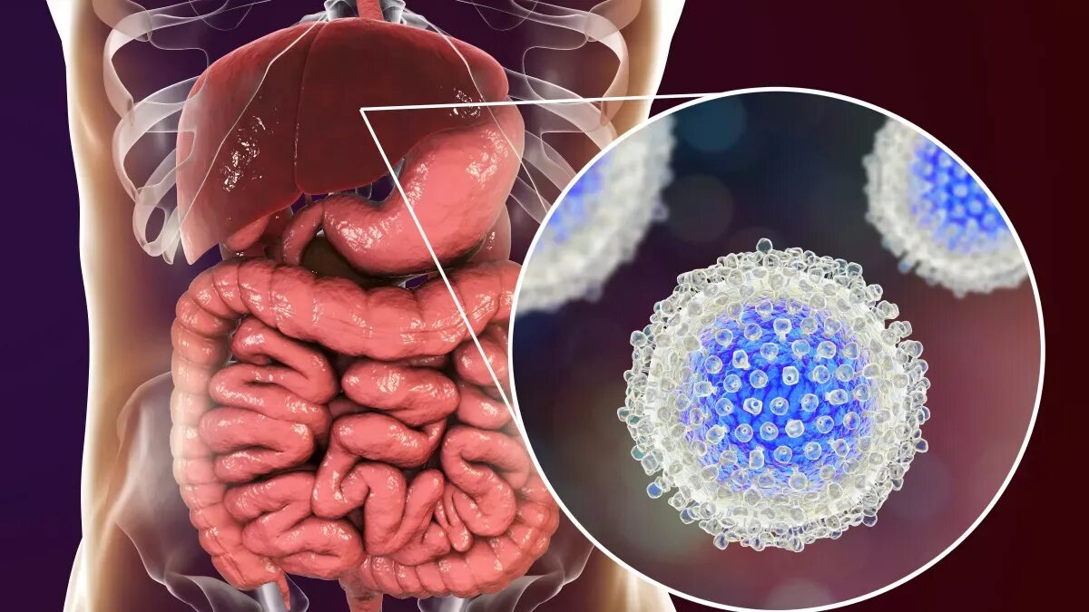 D инфекция. Коронавирус. Вирус коронавирус ковид-19. Клетка вич. D инфекция.