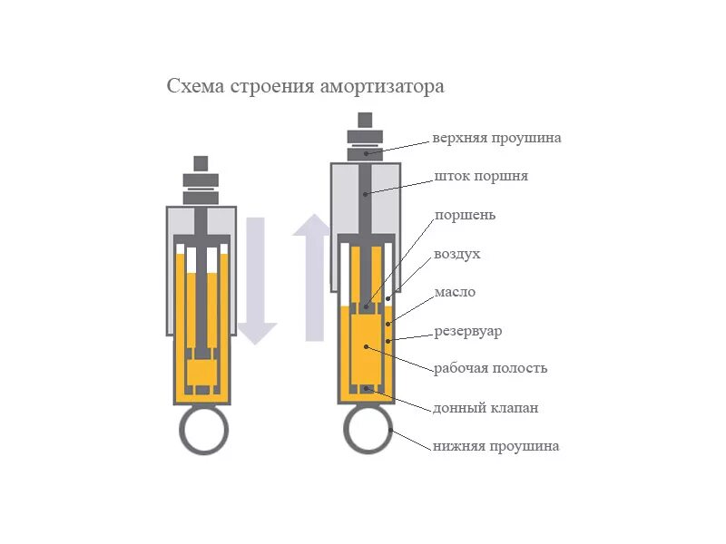 Схема двухтрубного гидравлического амортизатора. Амортизатор Газель гидравлическое. Конструкция гидравлического амортизатора. Устройство гидравлического амортизатора автомобиля.