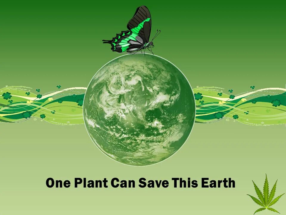 Can save