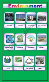 Environment текст задания