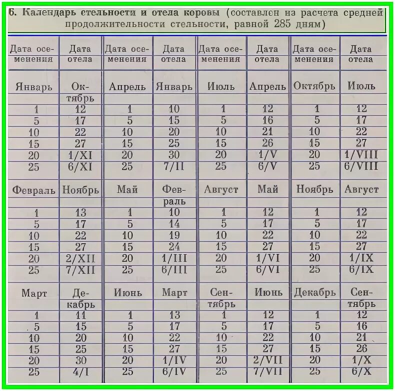 Через сколько месяцев приходят. Таблица осеменения и отела коров даты. Таблица сильности коров. Таблица отела коров по дате осеменения. Календарь стельности коров таблица.