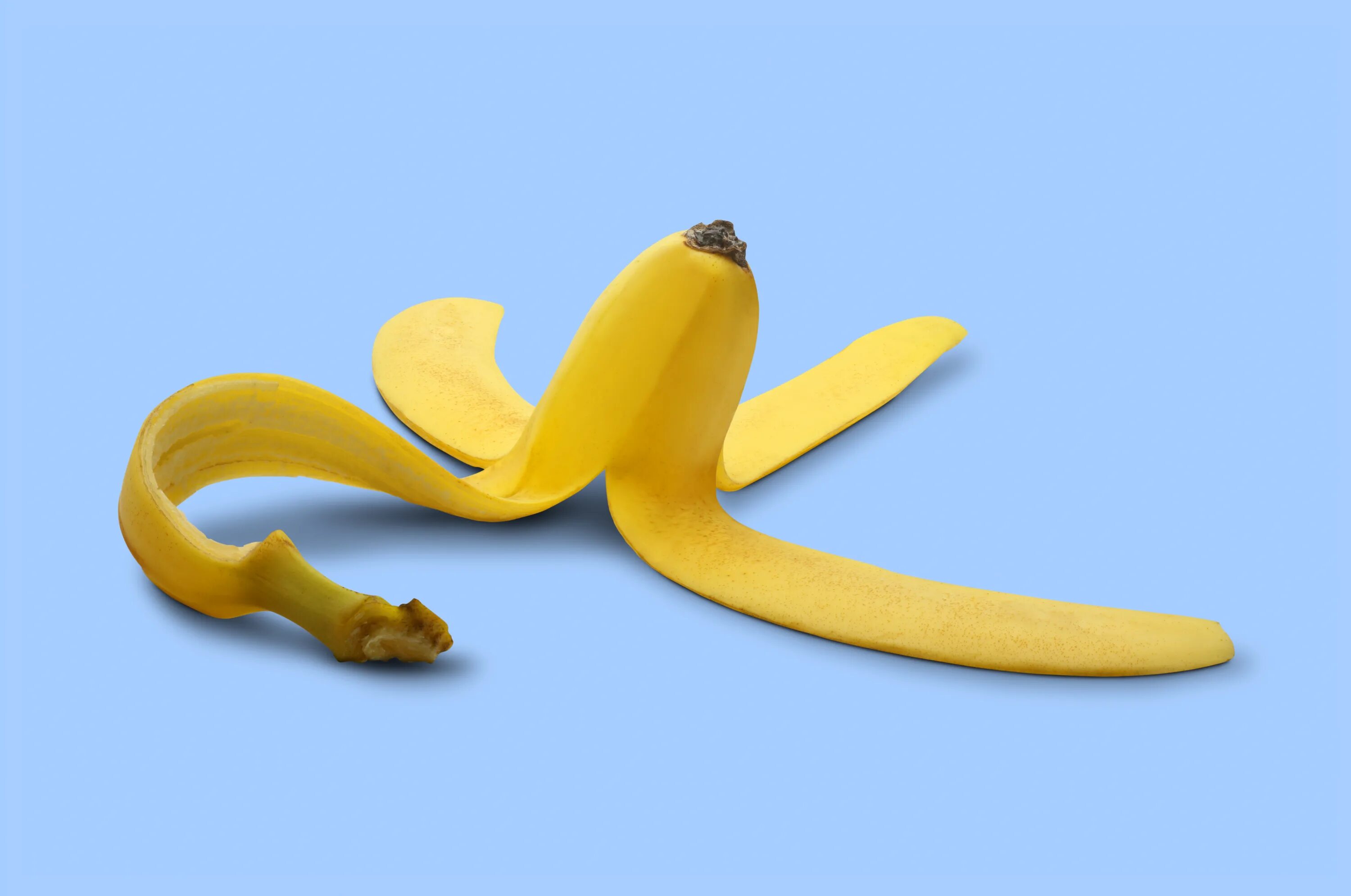 6 кожура. Банановая кожура. Шкурка банана. Кожура от банана. Банановая корка.