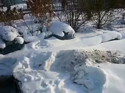 С 1 февраля участок