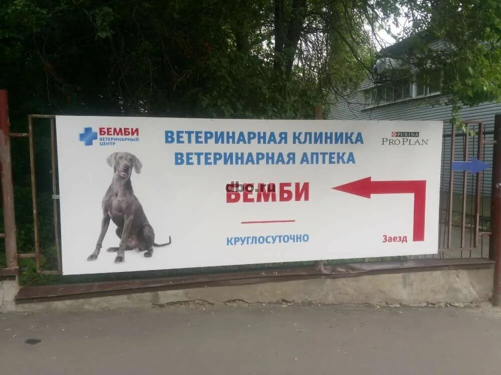 Ветклиника черемушки. Ветеринарная клиника ул Цюрупы. Ветеринарная клиника Бемби. Бэмби клиника ветеринарная. Круглосуточная ветеринарная аптека.