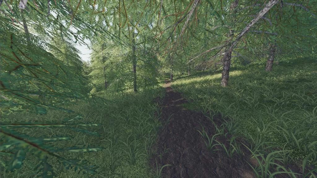 Лесная 19 1. Карта с лесом "Willamina Forest" для Farming Simulator 2019. Farming Simulator 19 Willamina Forest. ФС 22 дополнение Лесное. Лесные карты для ФС 22.