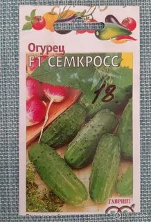 Огурцы сорт платоша