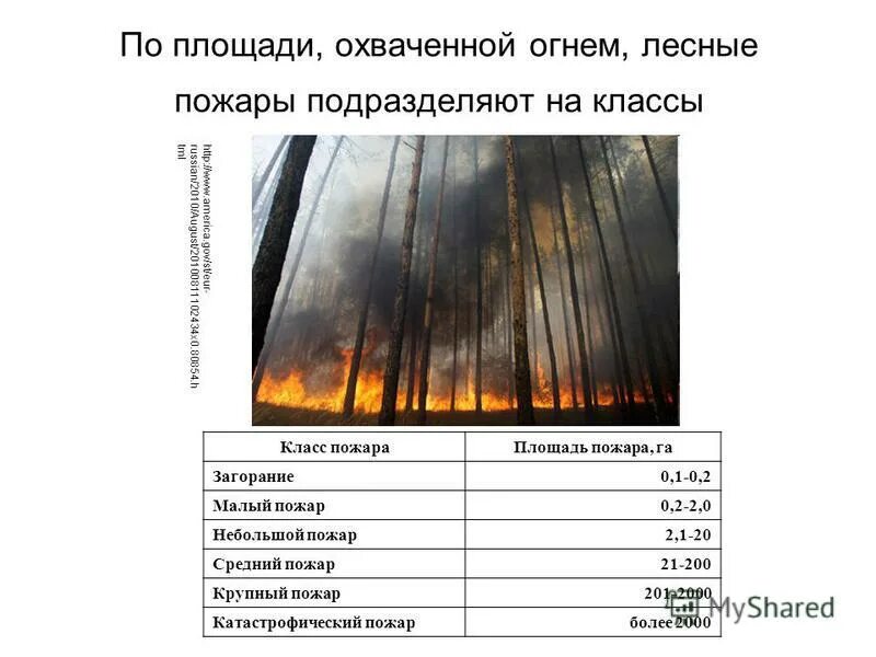 таблица пожаров. лесные пожары по площади. по площади охваченной огнем лесные пожары. по площади охваченной огнем лесные пожары. площади лесных пожаров классификация.
